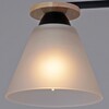 Миниатюра фото потолочная люстра reluce 11630-0.3-03 bk+wood | 220svet.ru