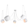 Миниатюра фото подвесная люстра lussole shirley lsp-8175 | 220svet.ru