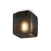 Миниатюра фото потолочный светильник delight collection 5061c black/smoky | 220svet.ru