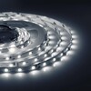 Миниатюра фото влагозащищенная лента apeyron 4,8w/m 60led/m 3528smd холодный белый 5m 00-71 | 220svet.ru