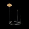 Миниатюра фото подвесной светильник loft it ring 10025/400 black | 220svet.ru