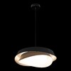 Миниатюра фото подвесной светильник loft it petale 10256p black | 220svet.ru