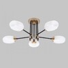 Миниатюра фото потолочная люстра imex md.4144-5-s-bk+fgd | 220svet.ru
