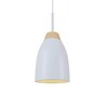 Миниатюра фото подвесной светильник loft it watchman loft4402a-wh | 220svet.ru