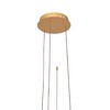 Миниатюра фото подвесной светильник loft it ring 10017/3s | 220svet.ru