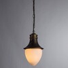 Миниатюра фото уличный подвесной светильник arte lamp vienna a1317so-1bn | 220svet.ru