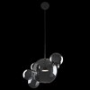 Миниатюра фото подвесной светильник loft it bolle 2029-p6 | 220svet.ru
