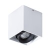Миниатюра фото потолочный светильник arte lamp pictor a5654pl-1wh | 220svet.ru
