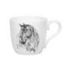 Миниатюра фото кружка "удивительные животные" - лошадь koenitz | 220svet.ru
