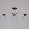 Миниатюра фото потолочная люстра reluce 11630-0.3-03 bk+wood | 220svet.ru