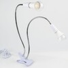Миниатюра фото настольная лампа uniel фитолето tli-281 white e27x2 plant ul-00010305 | 220svet.ru