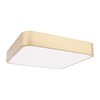 Миниатюра фото потолочный светильник loft it flims 10228/c | 220svet.ru