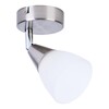 Миниатюра фото спот toplight keziah tl1232y-01sn | 220svet.ru
