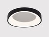 Миниатюра фото потолочный светодиодный светильник arte lamp sualocin a2698pl-48bk | 220svet.ru