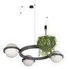 Миниатюра фото подвесной светильник loft it jardin 10121/3 dark grey | 220svet.ru