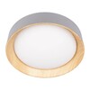 Миниатюра фото потолочный светильник loft it coin 10202 grey | 220svet.ru