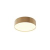 Миниатюра фото потолочный светодиодный светильник maytoni zon c032cl-24w3k-rd-mg | 220svet.ru
