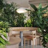 Миниатюра фото потолочный светильник loft it petale 10256 white | 220svet.ru