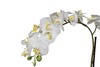 Миниатюра фото орхидея белая в горшке garda decor 29bj-170-06 | 220svet.ru