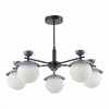 Миниатюра фото подвесная люстра evoluce genova sle220202-05 | 220svet.ru