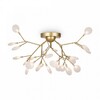 Миниатюра фото потолочная люстра freya florencia fr5049cl-27g | 220svet.ru