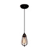 Миниатюра фото подвесной светильник loft it loft cage loft1124 | 220svet.ru