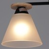 Миниатюра фото потолочная люстра reluce 11630-0.3-02 bk+wood | 220svet.ru