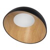 Миниатюра фото потолочный светильник loft it egg 10197/500 black | 220svet.ru
