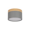 Миниатюра фото накладной светильник loft it grape 10162 grey | 220svet.ru