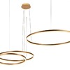 Миниатюра фото подвесной светильник loft it ring 10017/3m | 220svet.ru