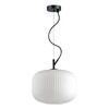 Миниатюра фото подвесной светильник odeon light roofi 4754/1 | 220svet.ru