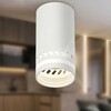 Миниатюра фото настенно-потолочный светильник эра ol50 wh б0059802 | 220svet.ru