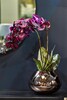 Миниатюра фото орхидея бордовая в горшке garda decor 29bj-170-12 | 220svet.ru