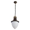 Миниатюра фото уличный подвесной светильник arte lamp vienna a1317so-1bn | 220svet.ru