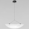 Миниатюра фото подвесной светильник loft it tense 10347/l | 220svet.ru