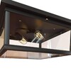 Миниатюра фото потолочный светильник loft it modern filament loft3110-2c | 220svet.ru