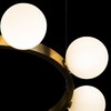 Миниатюра фото подвесной светильник loft it hoop 10311/14 | 220svet.ru