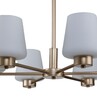 Миниатюра фото подвесная люстра indigo tulip 13004/6p gold v000001 | 220svet.ru