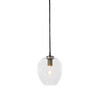 Миниатюра фото подвесной светильник bubble brass/clear | 220svet.ru