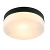 Миниатюра фото потолочный светильник arte lamp aqua-tablet a6047pl-2bk | 220svet.ru