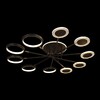 Миниатюра фото потолочный светильник loft it megan 10164m black | 220svet.ru