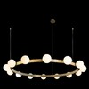 Миниатюра фото подвесной светильник loft it hoop 10311/14 | 220svet.ru