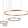 Миниатюра фото подвесной светильник loft it ring 10017/4s | 220svet.ru