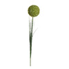 Миниатюра фото алиум зеленый garda decor 8j-13rs0013 | 220svet.ru